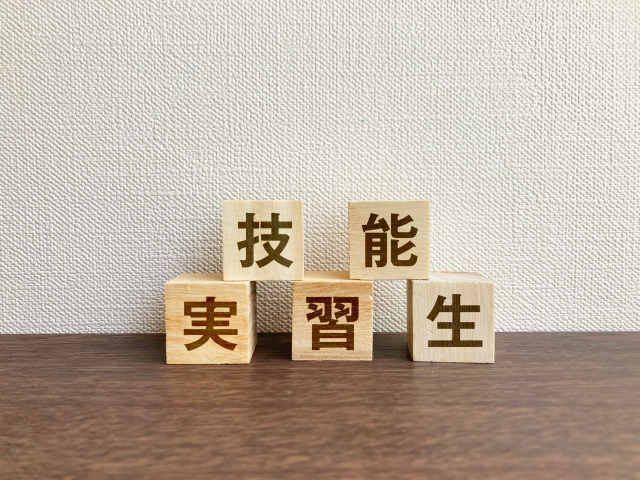 技能実習 外国人技能実習制度と書かれた木のブロック