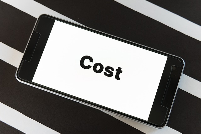 費用 COSTと書かれたスマホのスクリーン