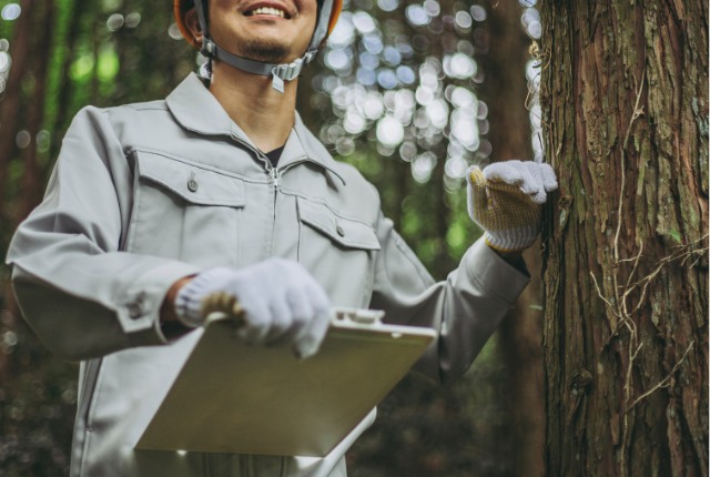 森林調査 森林で調査を行う作業服姿の男性。ヘルメットと手袋を着用し、木を確認しながら記録する林業従事者の様子。