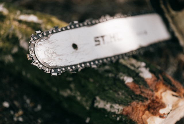 実技試験で使うチェーンソー 伐採作業で使用されるチェーンソーの刃先。切り倒された木の幹にあてられた状態を写した林業現場の写真。