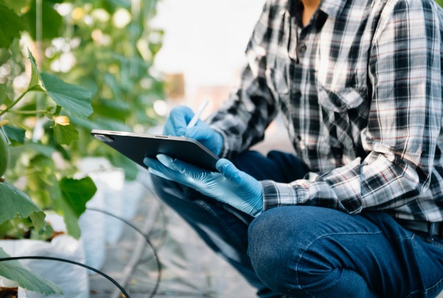 農業ハウスでタブレットにデータを記録する作業者。スマート農業による特定技能2号の実務イメージ。