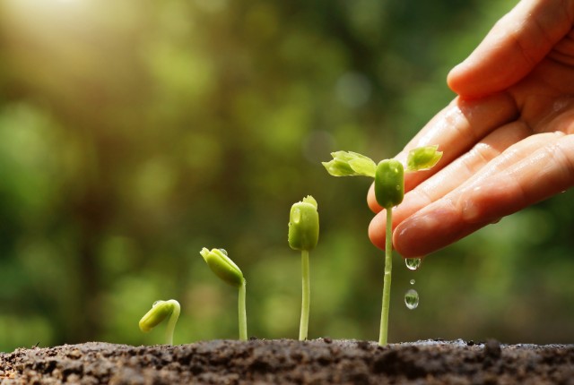 土から芽を出した若い苗に水を注ぐ手。農業分野の成長や特定技能2号人材の育成を象徴するイメージ。