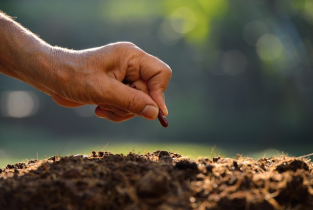 畑の土に種をまく手。農業分野で働く特定技能2号外国人の技能や新たな挑戦の始まりを象徴。